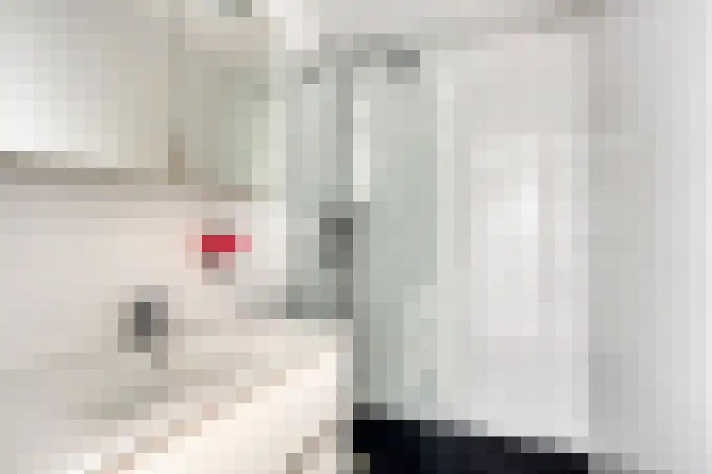Karveelstraat 12 Zaandam thumbnail 17