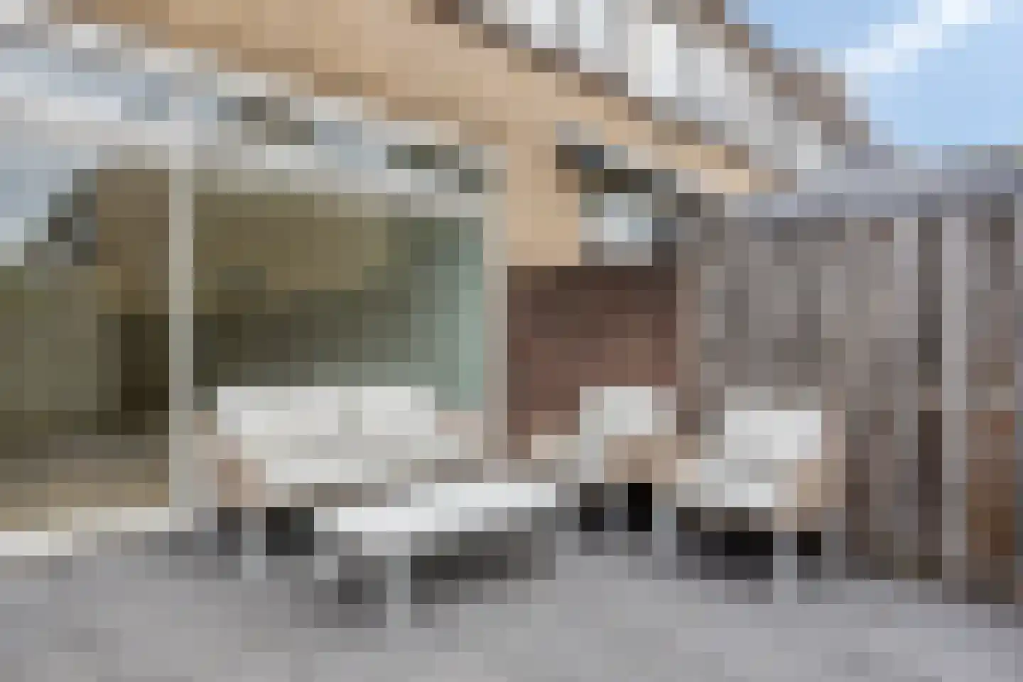 Karveelstraat 12 Zaandam thumbnail 27