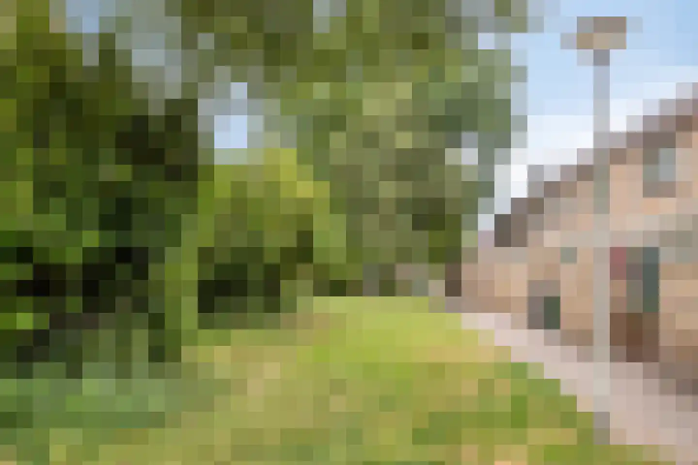 Karveelstraat 12 Zaandam thumbnail 31