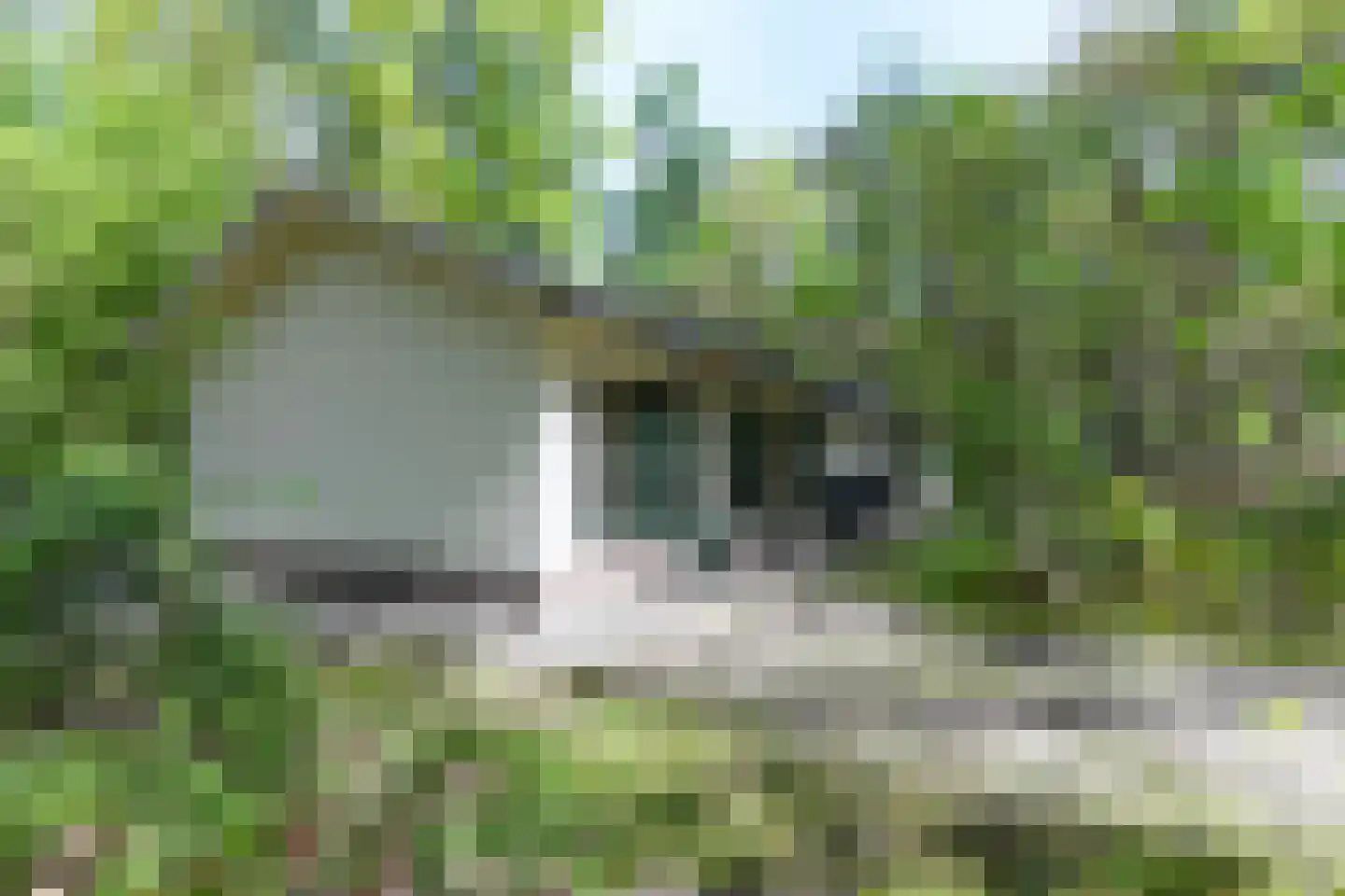 Karweg 14 Otterlo thumbnail 17