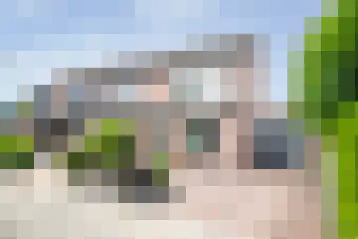 Karwij 16 Genemuiden