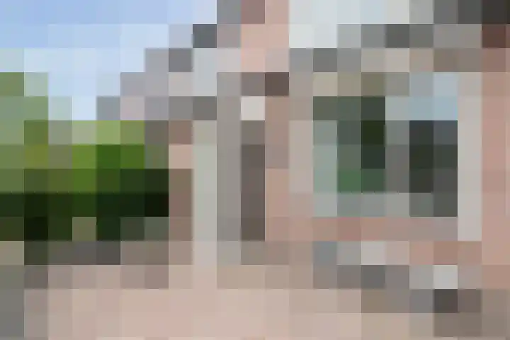 Karwij 16 Genemuiden thumbnail 10