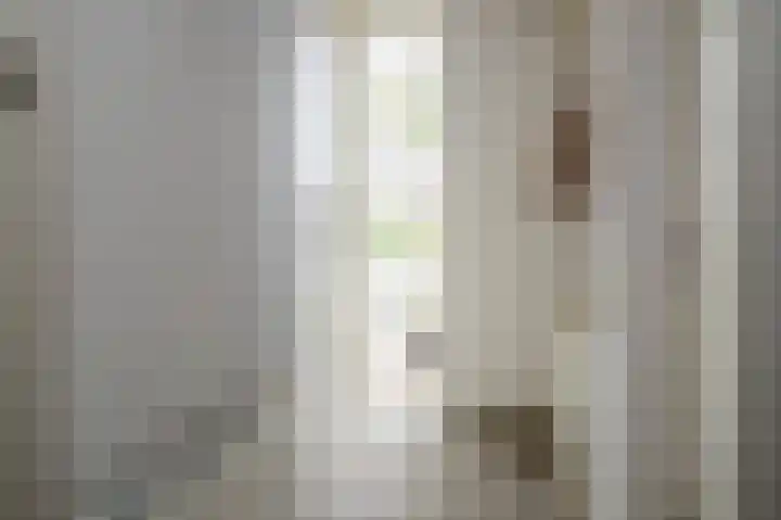 Karwij 16 Genemuiden thumbnail 11