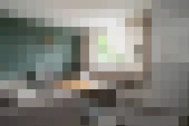 Karwij 16 Genemuiden thumbnail 12