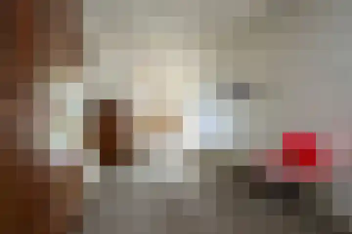 Karwij 16 Genemuiden thumbnail 13