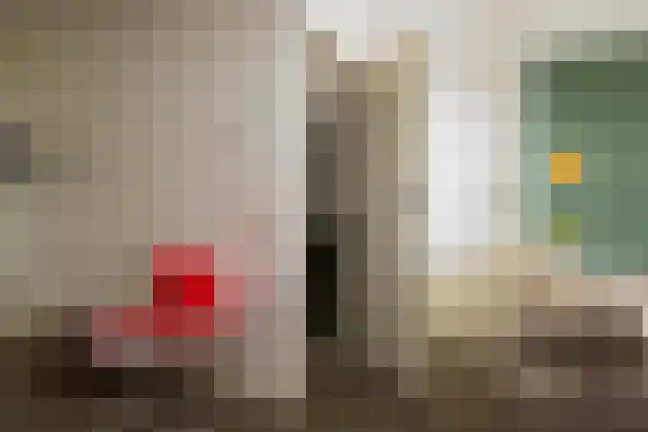 Karwij 16 Genemuiden thumbnail 14