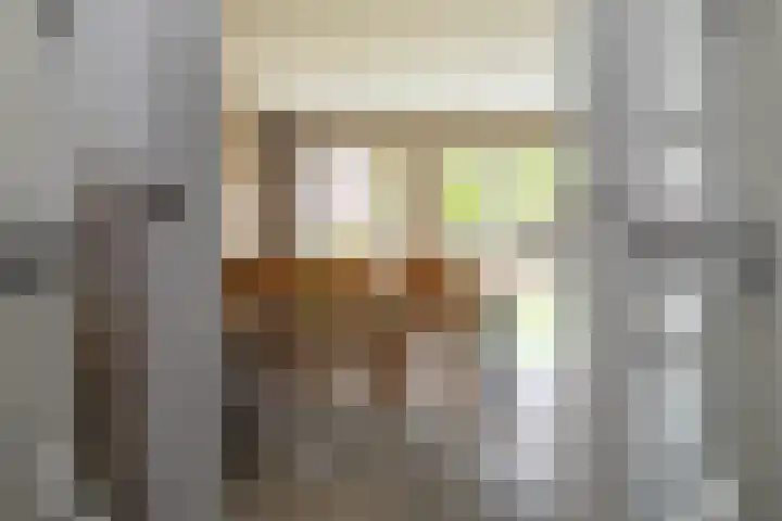 Karwij 16 Genemuiden thumbnail 16