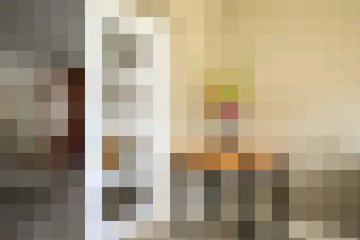 Karwij 16 Genemuiden thumbnail 18