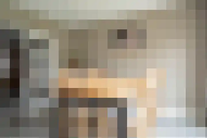 Karwij 16 Genemuiden thumbnail 19