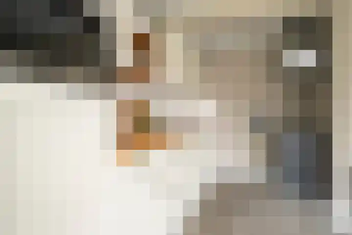 Karwij 16 Genemuiden thumbnail 20