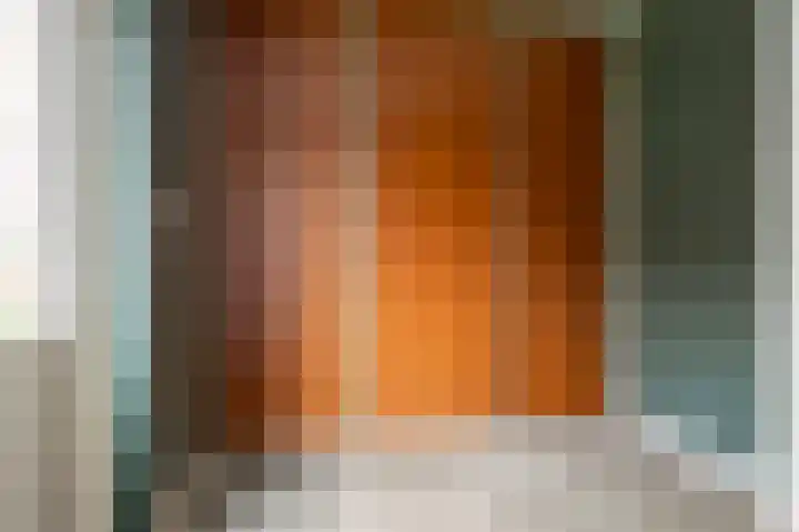 Karwij 16 Genemuiden thumbnail 23