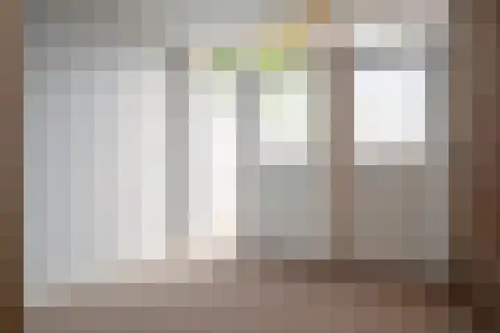 Karwij 16 Genemuiden thumbnail 25