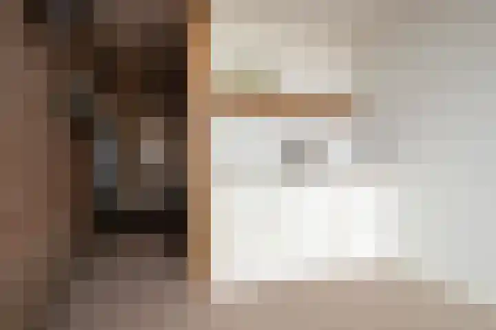 Karwij 16 Genemuiden thumbnail 26