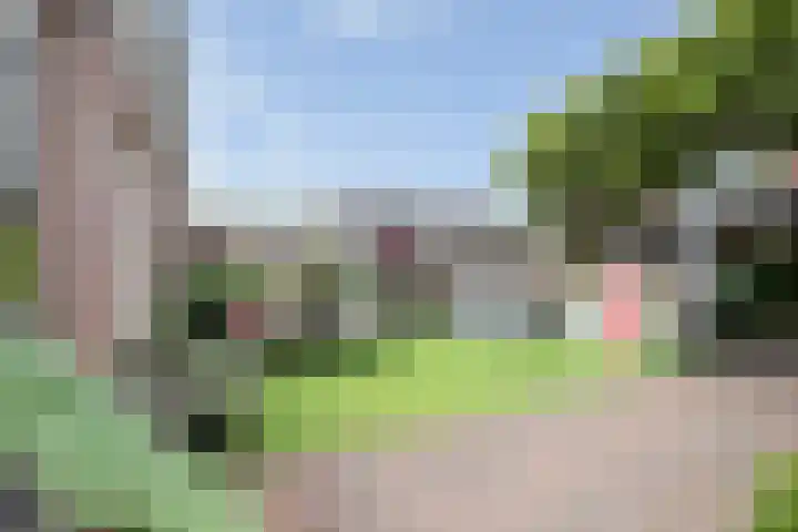 Karwij 16 Genemuiden thumbnail 28