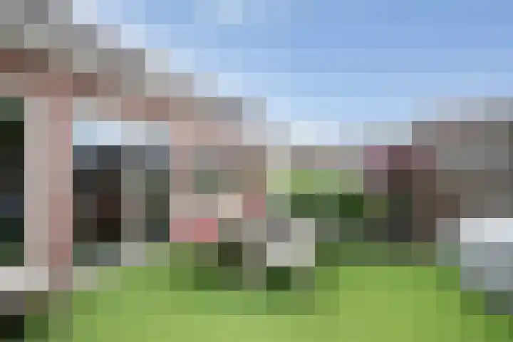 Karwij 16 Genemuiden thumbnail 29
