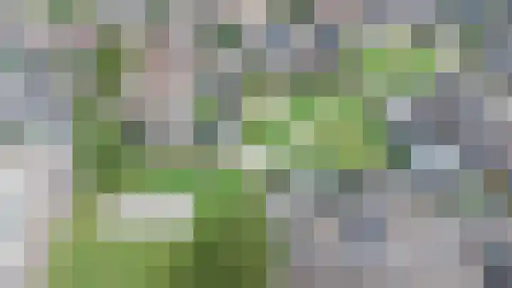 Karwij 16 Genemuiden thumbnail 34