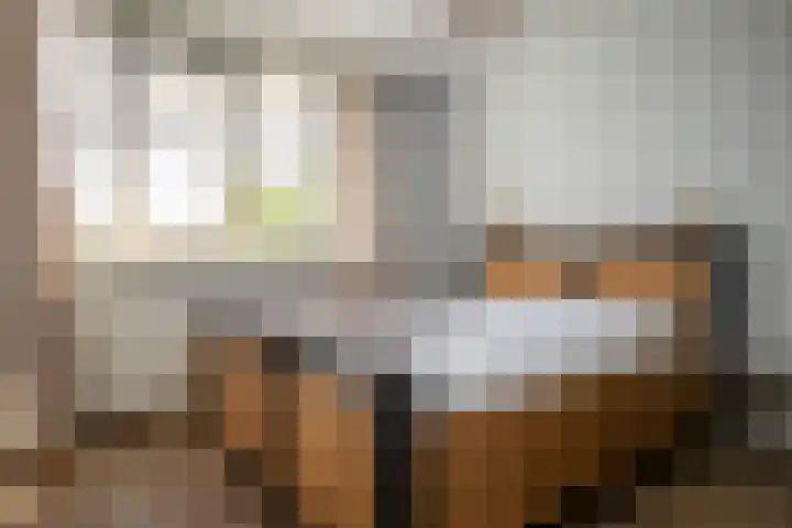 Karwij 16 Genemuiden thumbnail 37