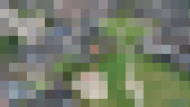 Karwij 16 Genemuiden thumbnail 4