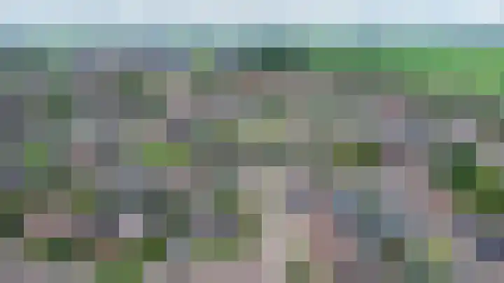 Karwij 16 Genemuiden thumbnail 7