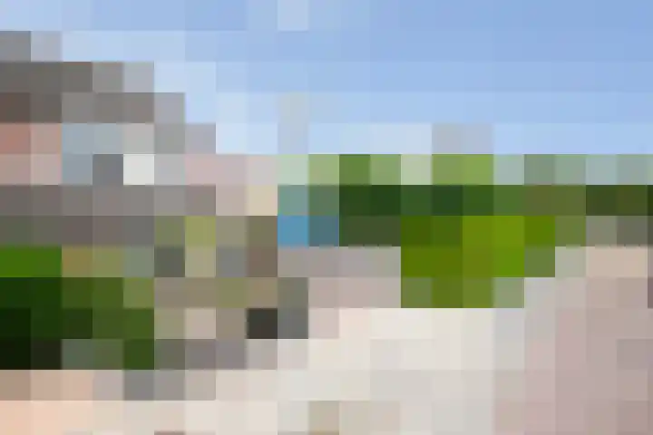 Karwij 16 Genemuiden thumbnail 8