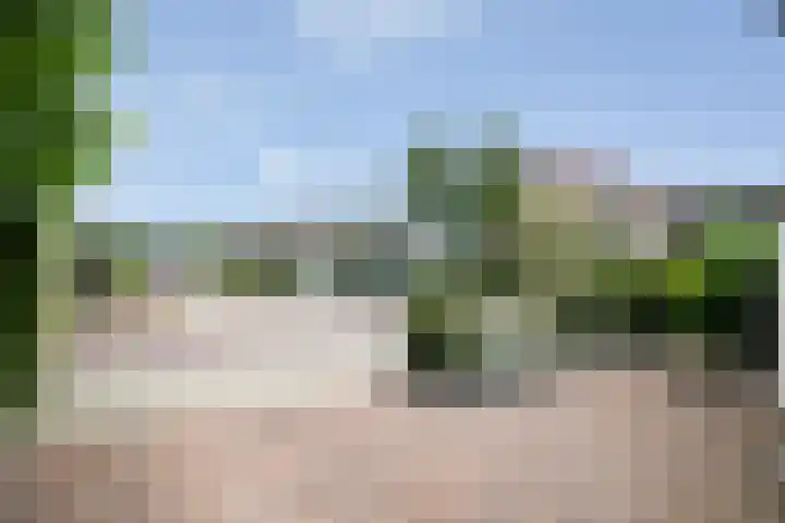 Karwij 16 Genemuiden thumbnail 9