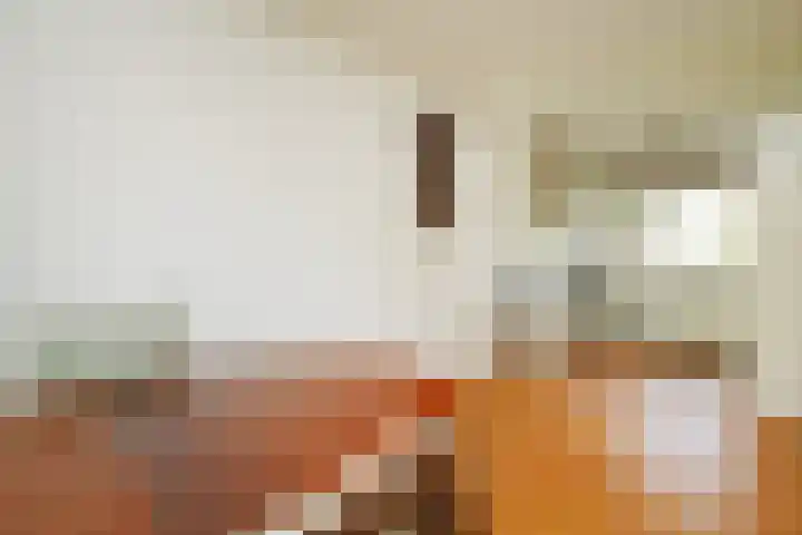 Karwijakker 1 Zoetermeer thumbnail 12
