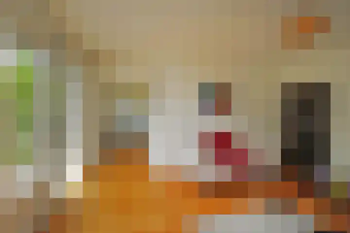 Karwijakker 1 Zoetermeer thumbnail 14