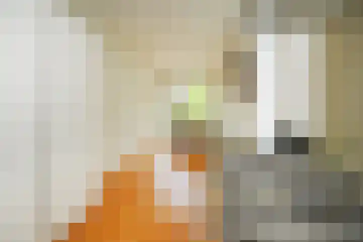 Karwijakker 1 Zoetermeer thumbnail 15