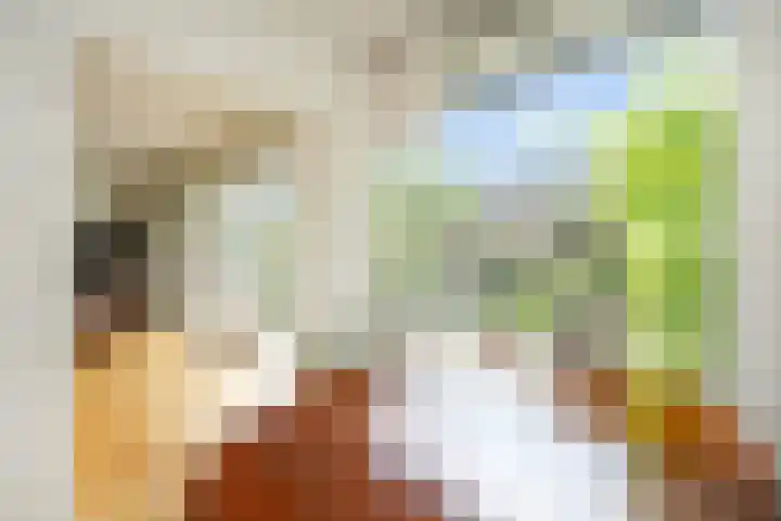 Karwijakker 1 Zoetermeer thumbnail 16