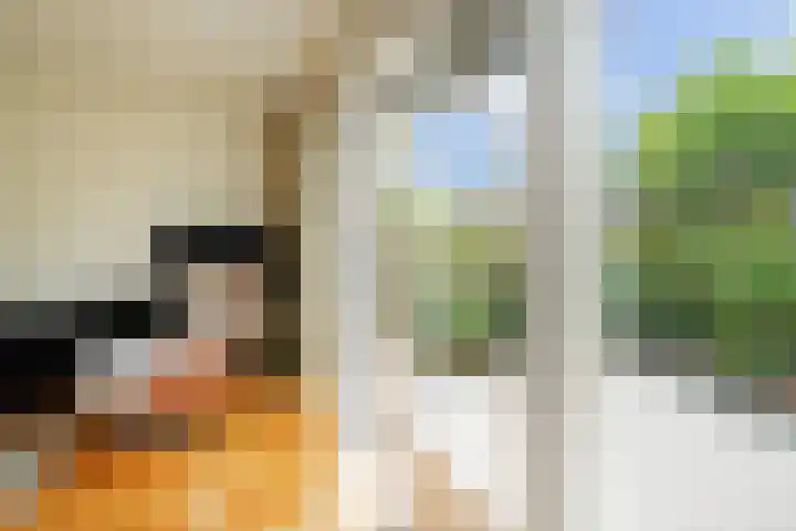 Karwijakker 1 Zoetermeer thumbnail 17