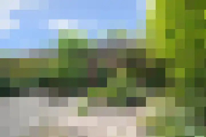 Karwijakker 1 Zoetermeer thumbnail 19