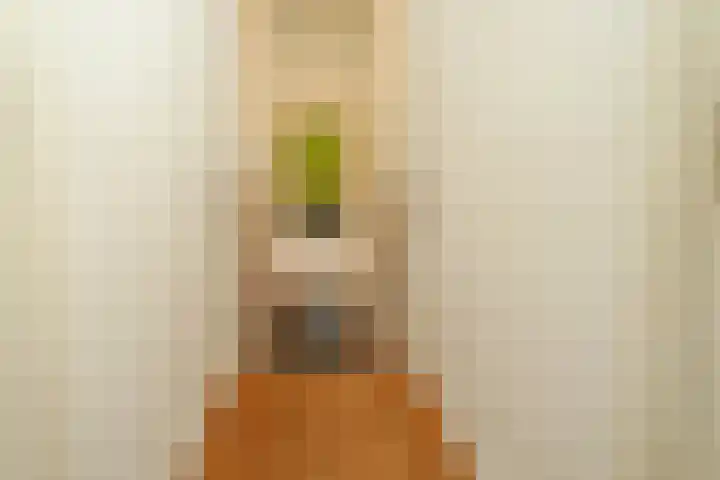 Karwijakker 1 Zoetermeer thumbnail 21