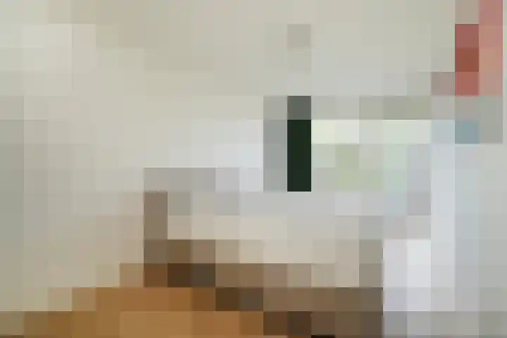 Karwijakker 1 Zoetermeer thumbnail 25