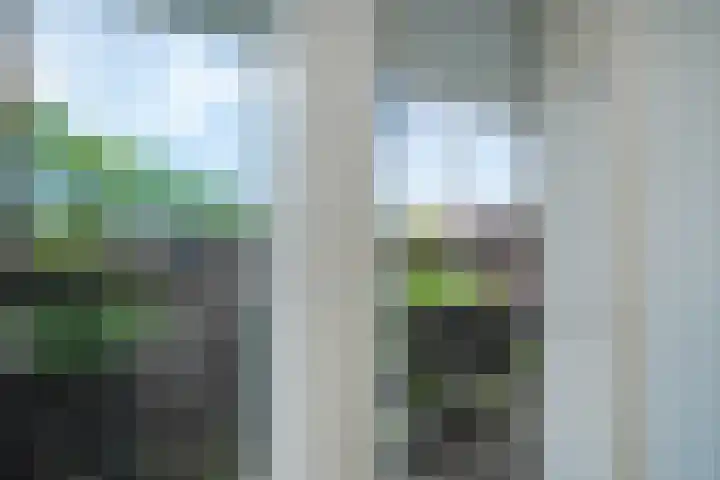 Karwijakker 1 Zoetermeer thumbnail 27