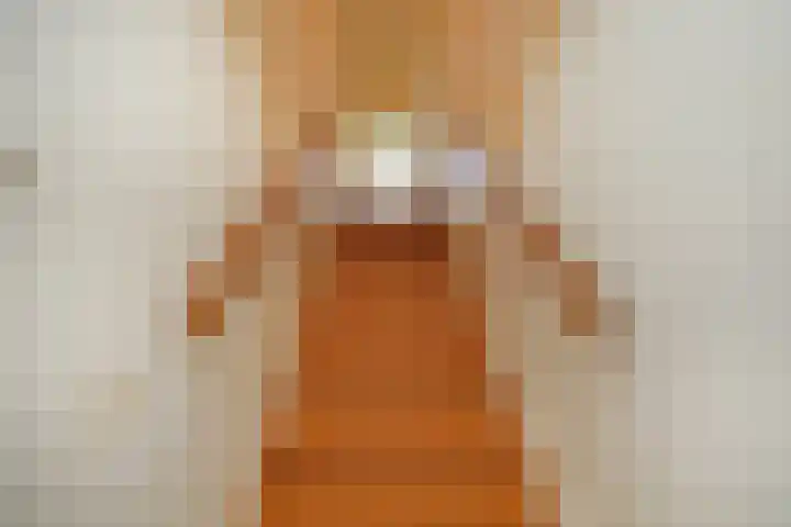 Karwijakker 1 Zoetermeer thumbnail 7
