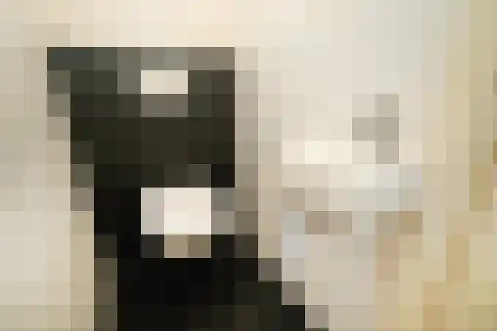 Karwijakker 1 Zoetermeer thumbnail 9