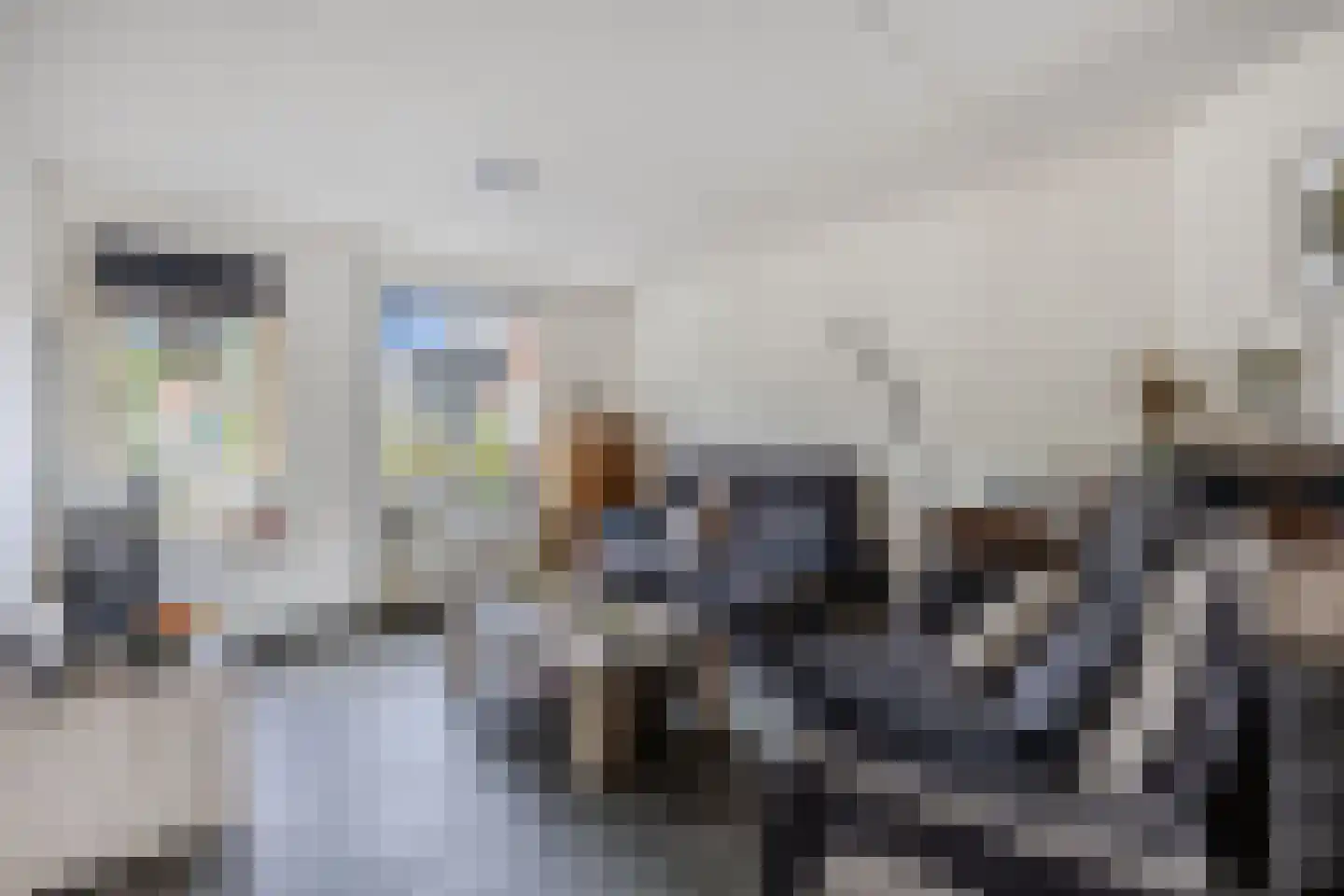 Karwijhof 12 Biddinghuizen thumbnail 11