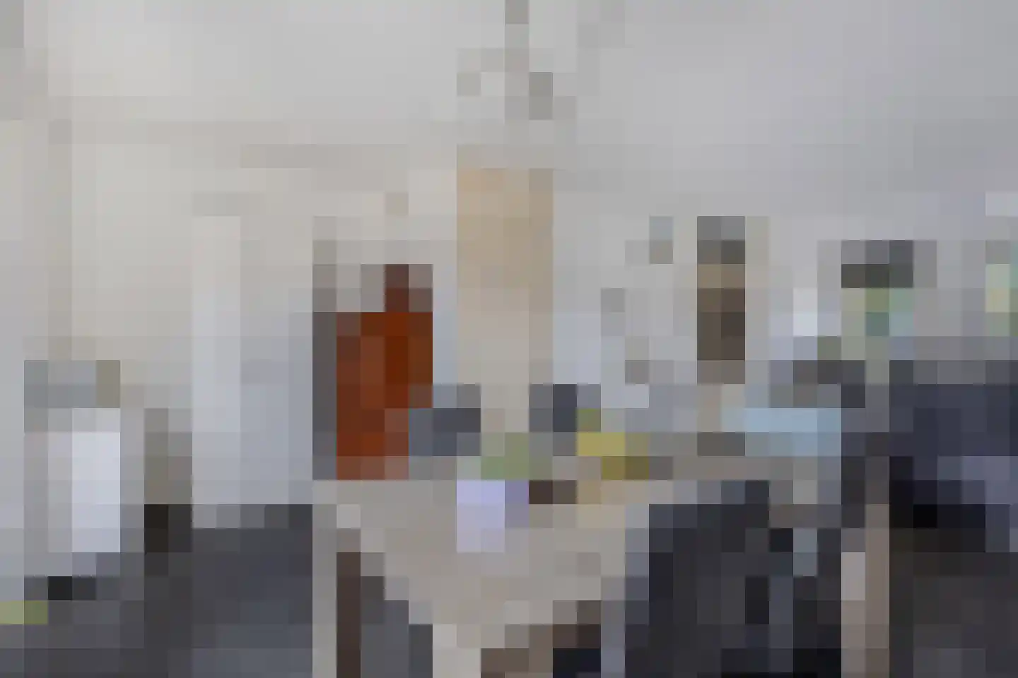 Karwijhof 12 Biddinghuizen thumbnail 22