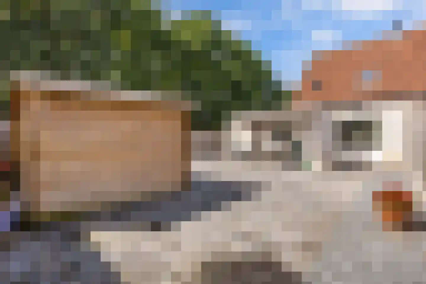 Karwijhof 12 Biddinghuizen thumbnail 37