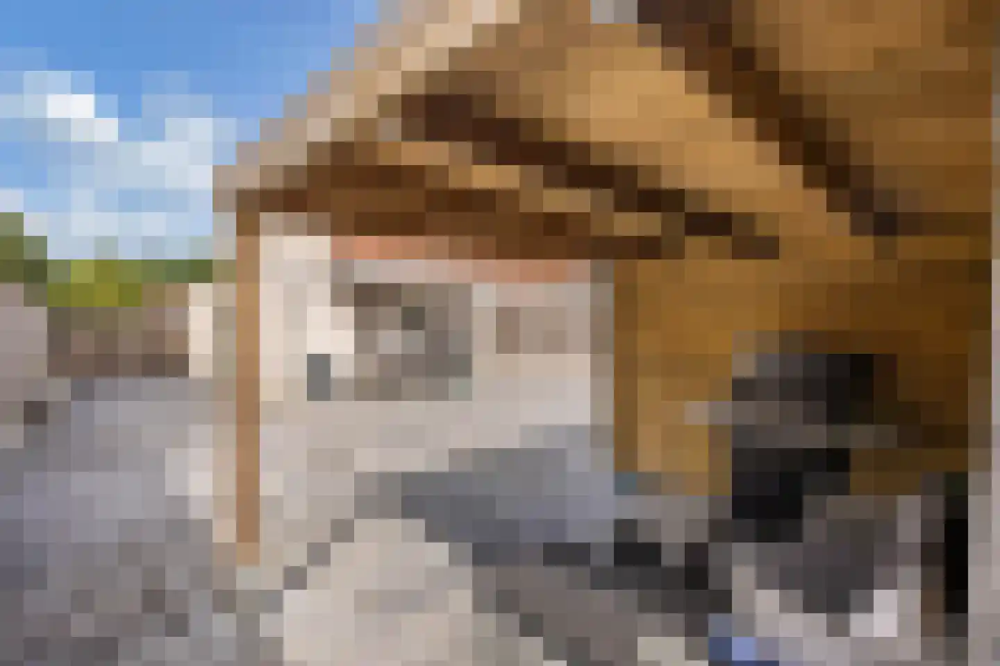 Karwijhof 12 Biddinghuizen thumbnail 42