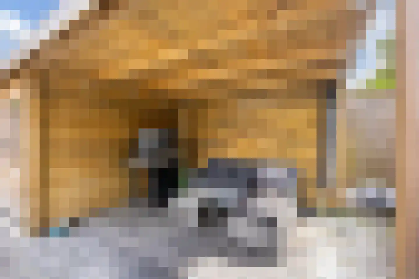 Karwijhof 12 Biddinghuizen thumbnail 43