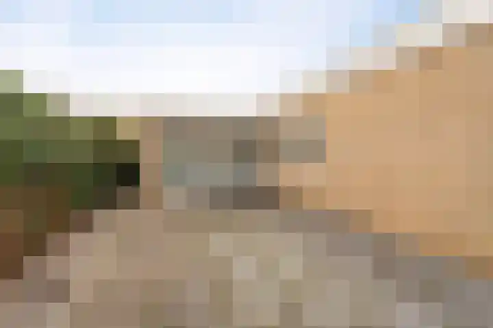 Karwijhof 35 Nagele thumbnail 10