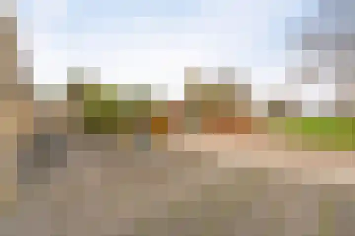 Karwijhof 35 Nagele thumbnail 11