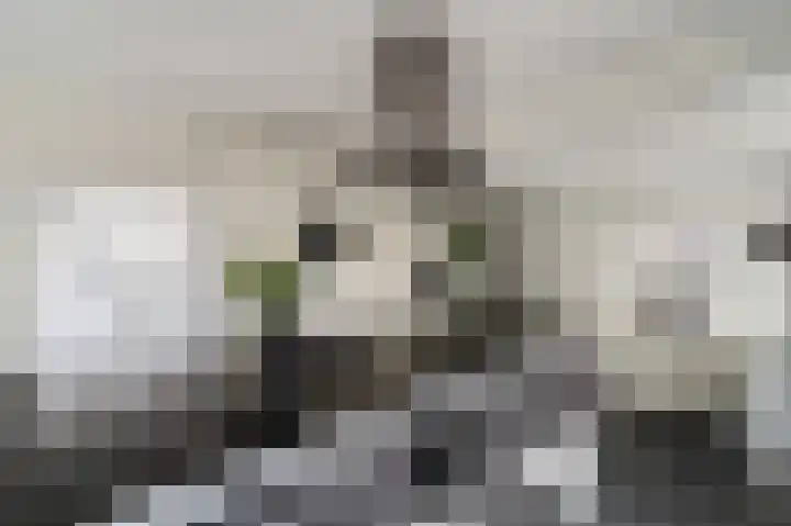 Karwijhof 35 Nagele thumbnail 17