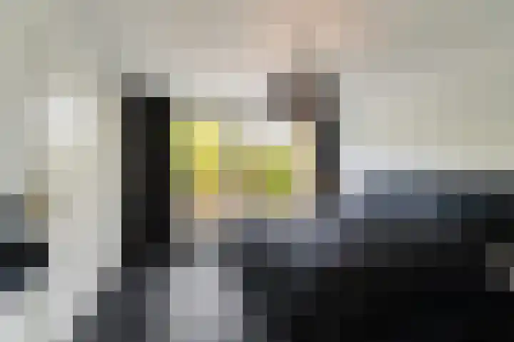 Karwijhof 35 Nagele thumbnail 33