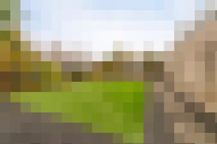 Karwijhof 35 Nagele thumbnail 38