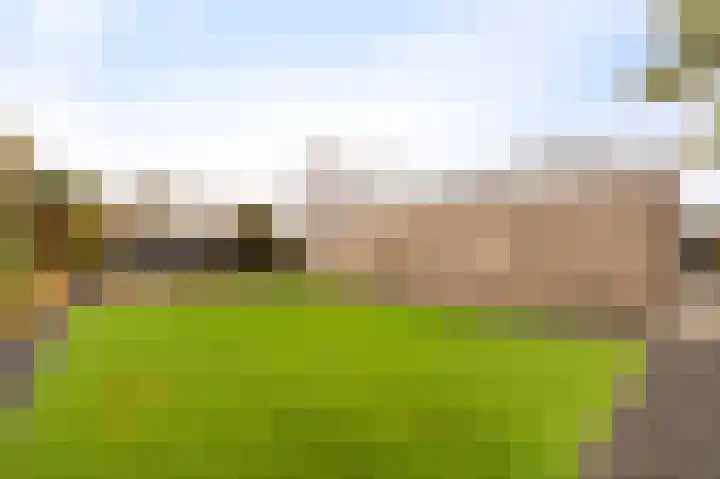 Karwijhof 35 Nagele thumbnail 39