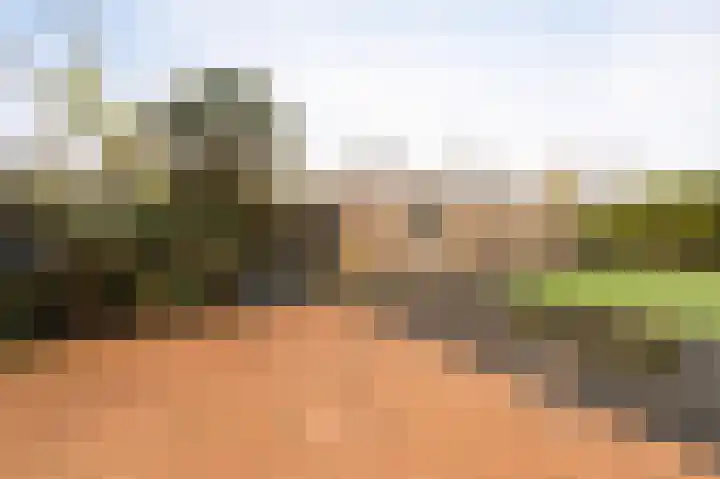 Karwijhof 35 Nagele thumbnail 4