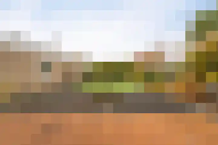 Karwijhof 35 Nagele thumbnail 40