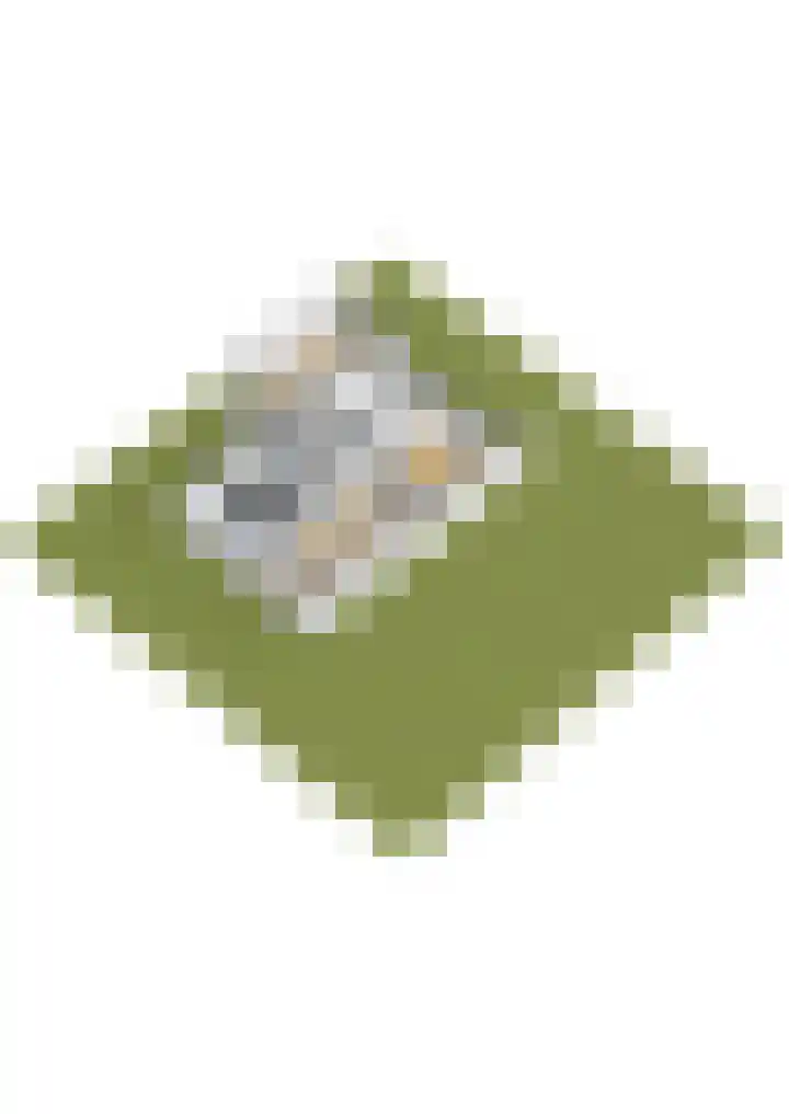 Karwijhof 35 Nagele thumbnail 42